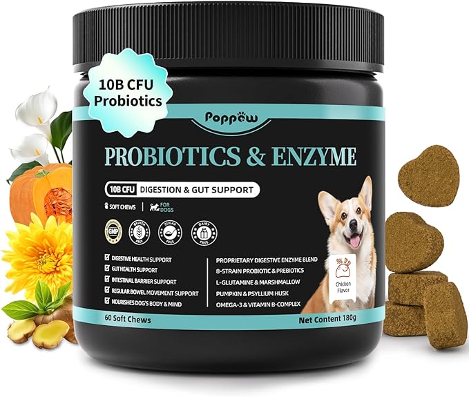 Probiotics for Dogs, Digestive Enzymes for Gut Health Support, Dog Fiber Supplement with Pumpkin for Diarrhea & Bowel Support, Upset Stomach & Gas Relief, Constipation - 60 Count Chicken Flavor
