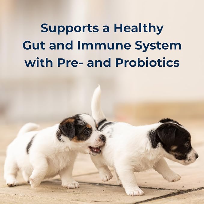 PetAg Goat’s Milk Esbilac Powder - 12 oz, Pack of 2 - Powdered Puppy Formula with Prebiotics, Probiotics & Vitamins for Puppies Newborn to Six Weeks Old - for Sensitive Digestive Systems