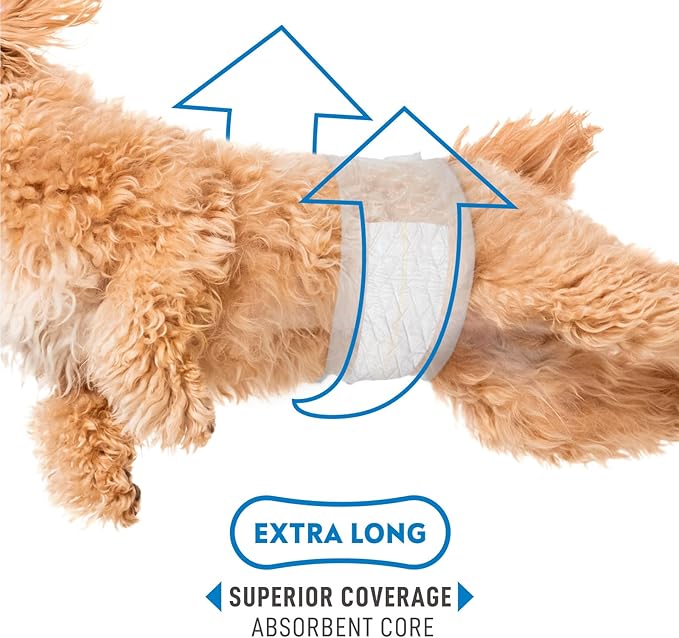 Paw Inspired Select Fit Male Dog Diapers, Disposable Male Wraps with Wetness Indicator| Belly Bands for Small, Medium, Large Dogs (X-Large, 20 Count)