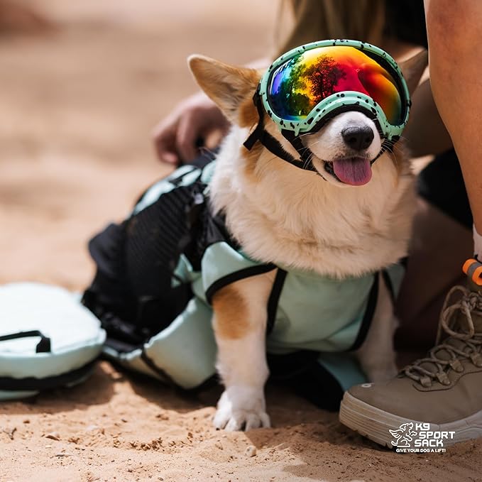 K9 Sport Sack Plus 2 - Small, Light Grey - Ideal for Dogs 13-16” Long - Adjustable, Backpack-Style Carrier with Multi-Functional Storage Pack, Thick Shoulder Straps & Padded Back Panel