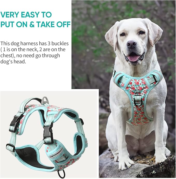 Timos Dog Harness, No-Pull Pet Harness with 2 Leash Clips, 3 Snap Buckles Adjustable Soft Padded Dog Vest, Reflective No-Choke Pet Oxford Vest with Easy Control Handle for Small Medium Large Dogs