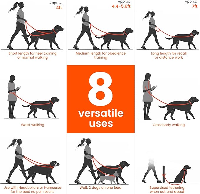 HOWGO 8-in-1 Multifunctional Hands Free Dog Training Leash with Padded Handle,8.5 FT Nylon Adjustable Length,Lightweight Aviation Aluminum,Crossbody Waist Leash for Puppy Medium Large Dogs (MintGreen)