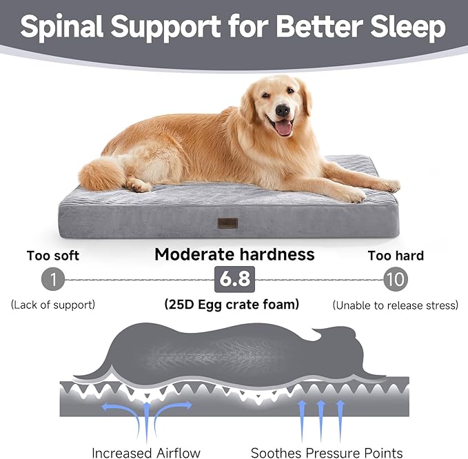 OhGeni Orthopedic Waterproof & Machine Washable Dog Bed for Medium Large Pets, Cat Mat with 25D Egg Crate Foam, Non-Slip Bottom & Removable Cover, Invisible Zipper, 44 Inches(Gray)