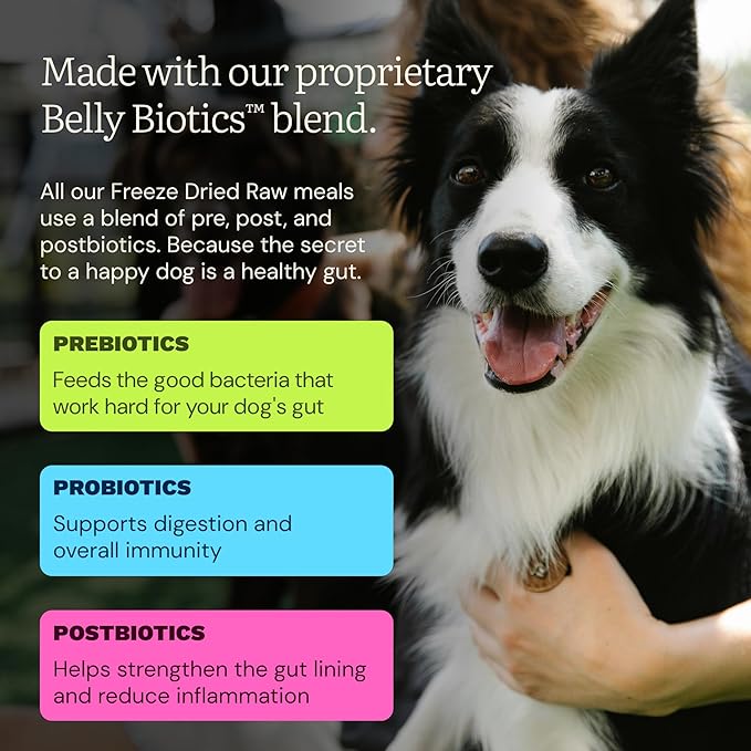 Get Joy Gut Health Fresh Freeze Dried Raw Meal, Beef Recipe, 32 Ounce Bag, Dog Food for Dogs of All Breeds and Life Stages, PhD Animal Nutritionist Formulated, USDA Beef, Made in USA