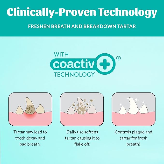 SKOUT'S HONOR Fresher Breath Water Additive for Pets - VOHC Accepted for Tartar Control, Freshens Breath Fast, No Brushing Required: Fresh & Flavorless 16oz - 3 Pack