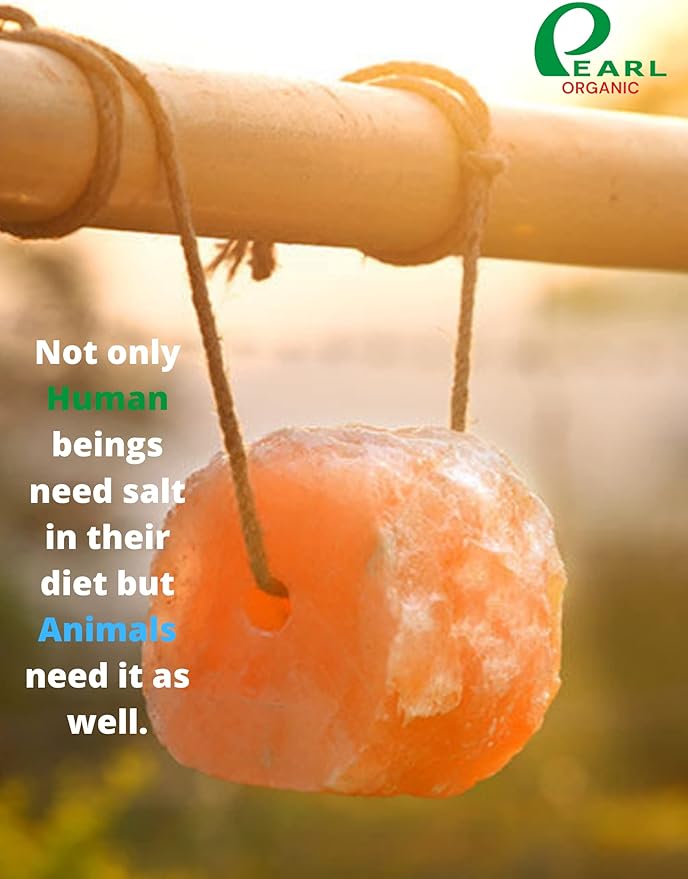 New 8 lbs Animal Himalayan Salt Lick on Rope for Horses, Deer, Rabbits, Cows and Other Livestock | Lick Salt for Deer | Digestive Aid for Animals | Horse Treats (8 lbs)