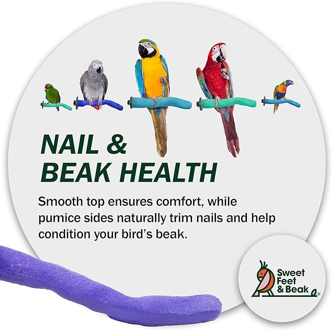 Sweet Feet & Beak Safety Pumice Bird Perch, Medium 1-1/4" X 12", Green - Lightweight Grinding Bird Perches for Cage - Bird Nail Trimming Perch for Healthy Beak & Feet - Multi-Size & Color Parrot Stand