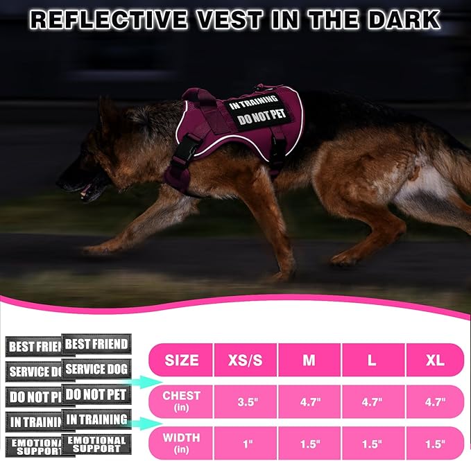 WINSEE Service Dog in Training Mesh Harness with 10 Pet Patches, Soft Air Mesh Breathable Tactical Dog Molle Vest, Reflective Military Pet Vest for Walking Hiking for Medium Dogs