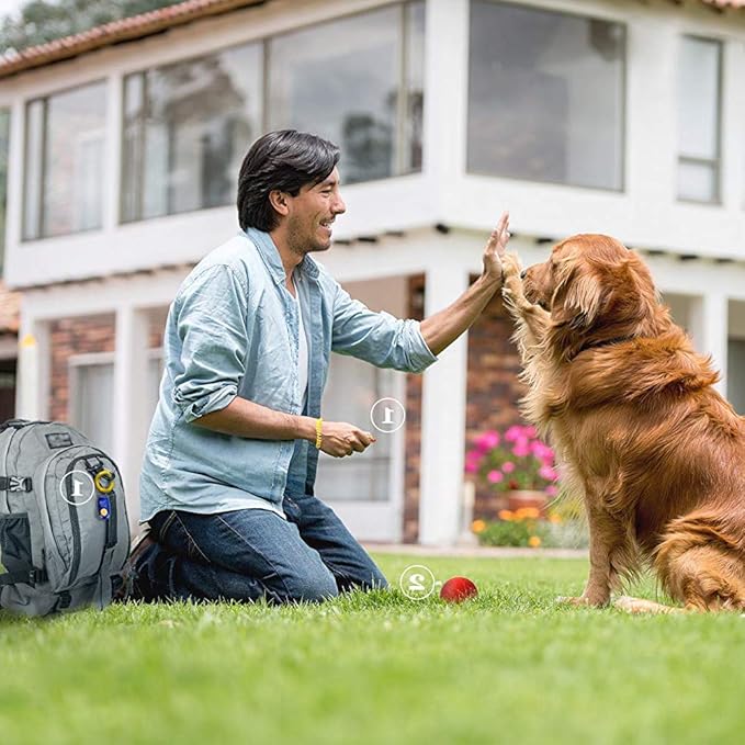 Rocutus 10-Piece Colorful Pet Training Clickers with Wrist Strap - Train Dogs, Cats, Horses & More