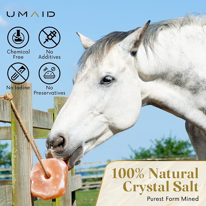 UMAID Himalayan Salt Lick 6 lbs On Rope for Horse, Deer, Goat, and Livestock Animals - Himalayan Salt Block 2 Pack