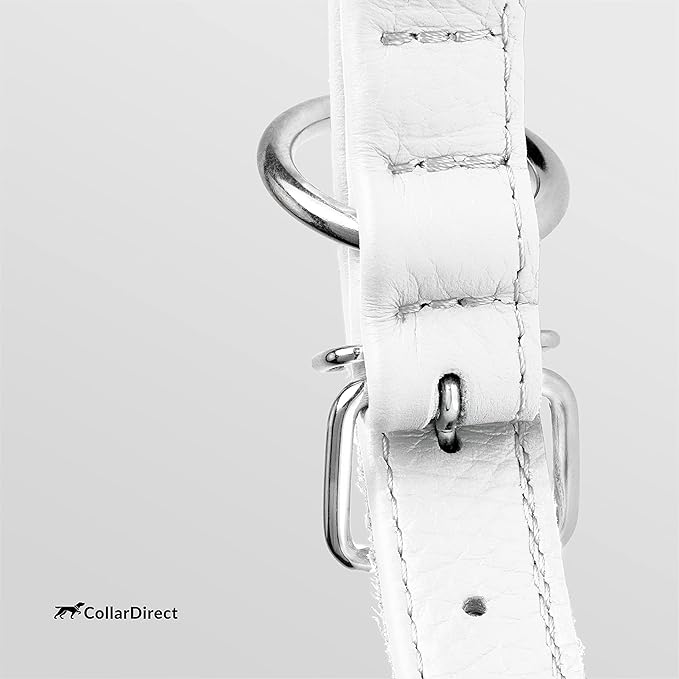 CollarDirect Rolled Leather Dog Collar, Soft Padded Round Puppy Collar, Handmade Genuine Leather Collar Dog Small Large Cat Collars 13 Colors (6 Inch, White Textured)