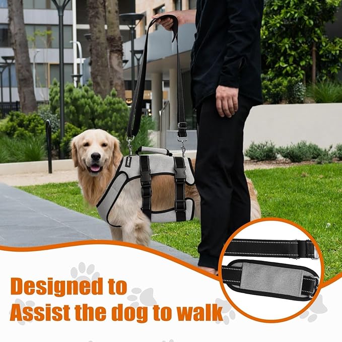 Ayquez Dog Lift Harness with Storage and Transport Bag, Dog Harness with Handle for Lifting & Hip dysplasia, arnés para Perros pequeños, pechera para Perros (Gray, L)