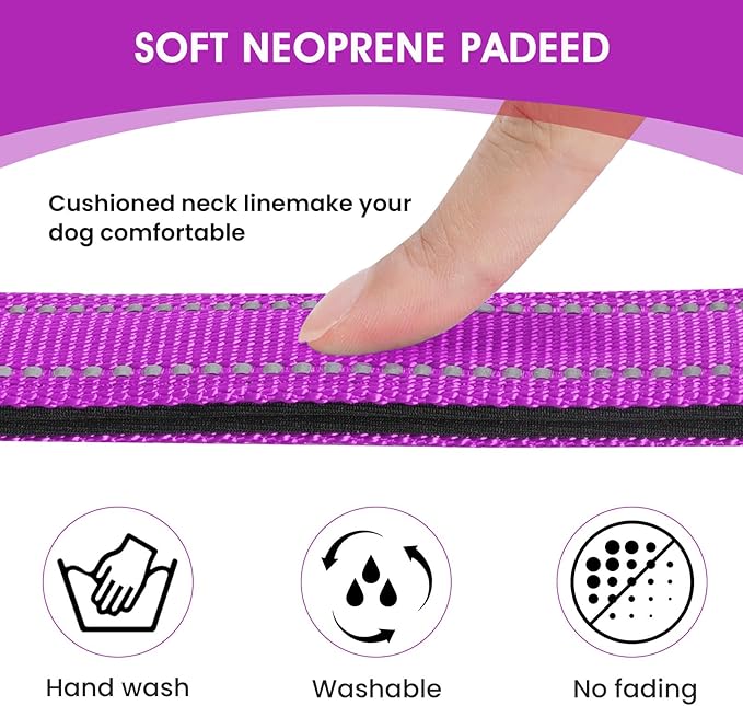 Reflective Dog Collar Padded with Soft Neoprene Breathable Quick Release Basic Dog Collars for Puppy Small Dogs Dark Magenta