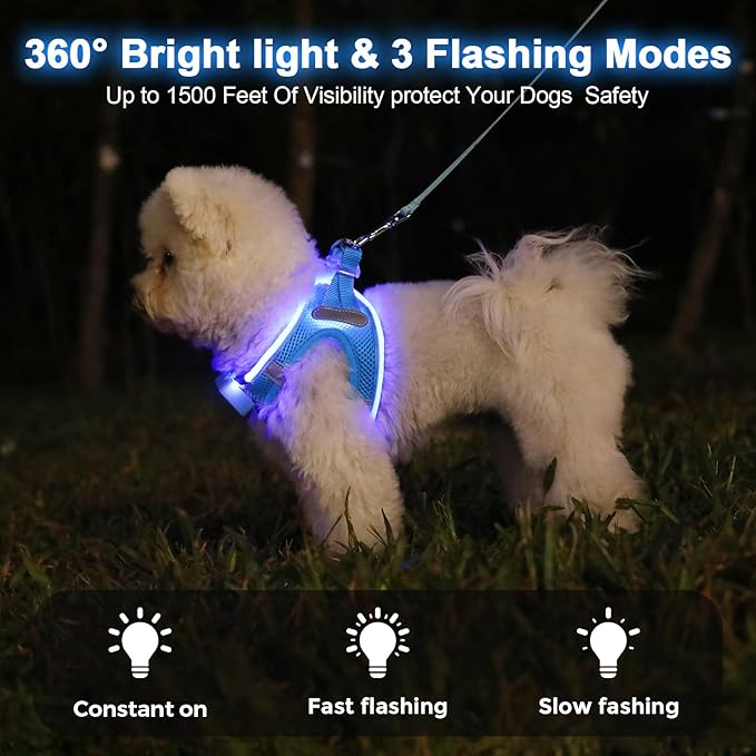 Light Up Dog Harness,Rechargeable LED Dog Harness for Small Medium Large Dogs,Reflective Lighted Safety Vest for Night Walking & Camping,Lightweight & Adjustable,Sky Blue,XS