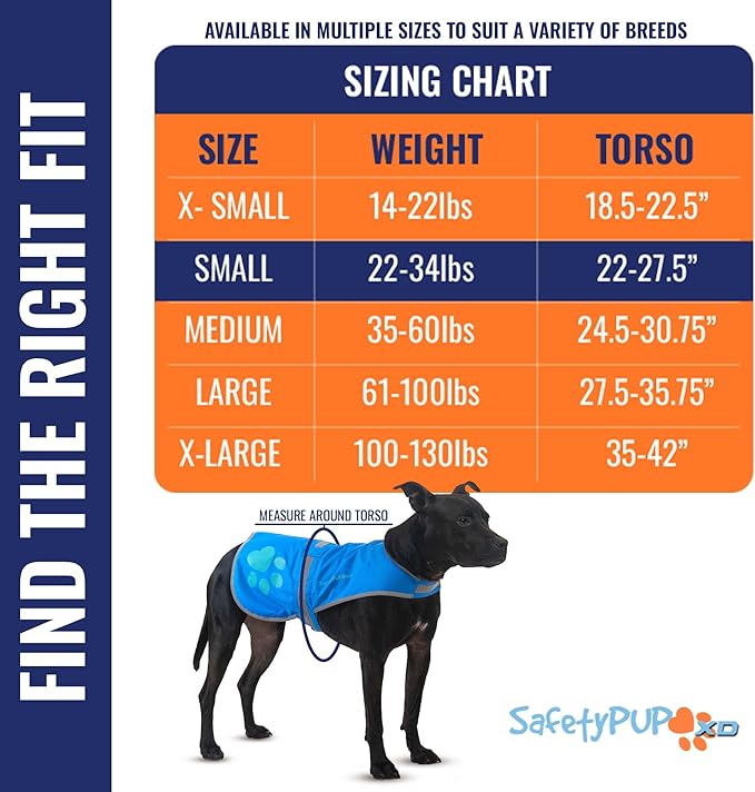 Dog Reflective Vest – Hi-Vis Fluorescent Visibility That Helps to Safeguard Your Pet On/Off Leash in Urban & Rural Areas (Blue, Small)