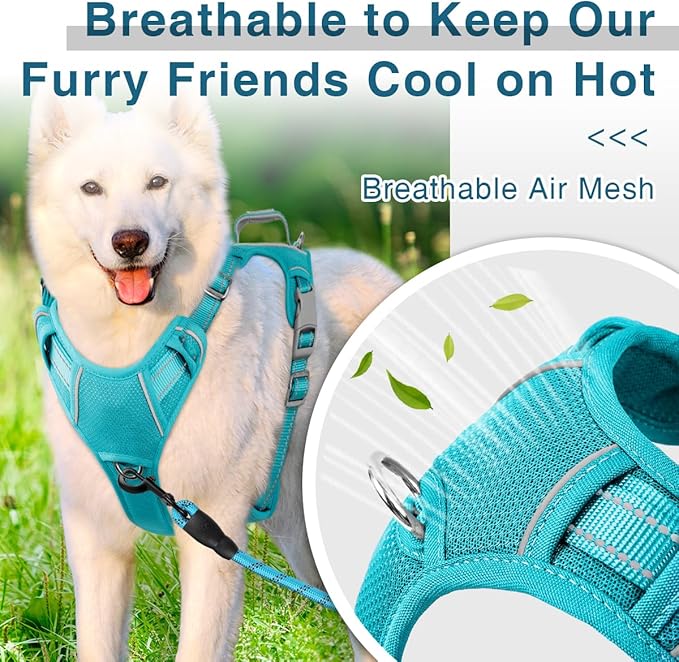 BARKBAY Dog Harness No Pull with ID Tag Pocket - Heavy Duty, Reflective, Easy Control for Large Dogs(Ocean Blue,S)