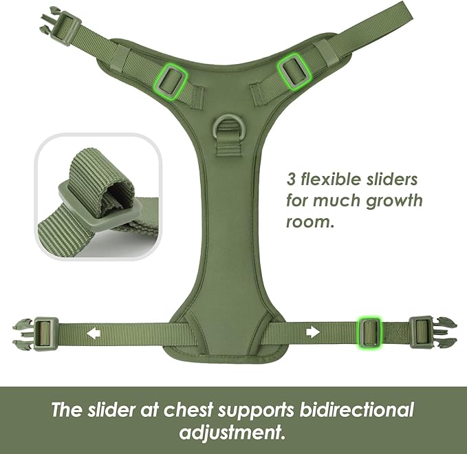 No Pull Dog Harness, Puppy Vest with Front Clip for Small Medium Large Sized Dog (Misty Green,S)