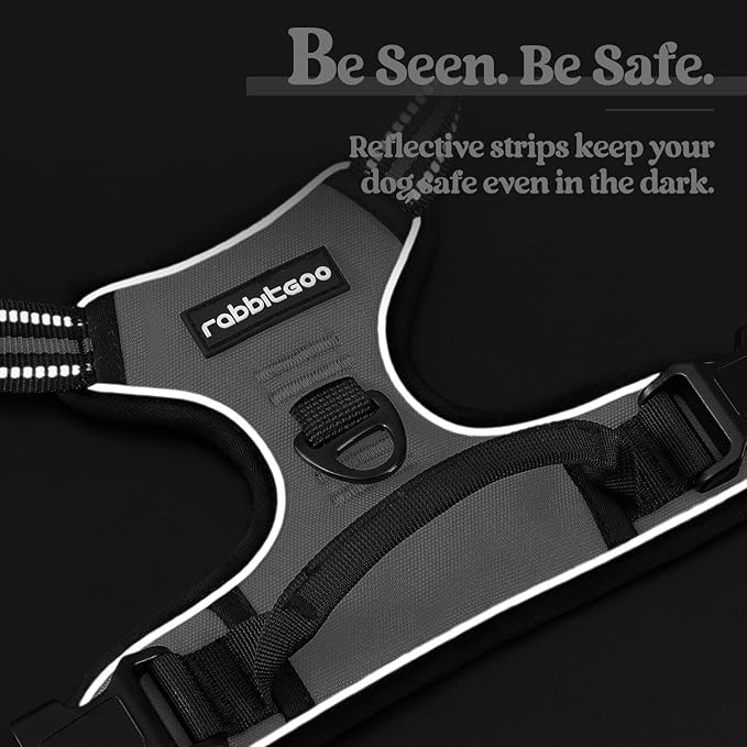 rabbitgoo Dog Harness No Pull with 2 Leash Clips, Adjustable Soft Padded, Reflective Oxford No Choke Pet Vest with Easy Control Handle for Large Dogs, Grey, XL