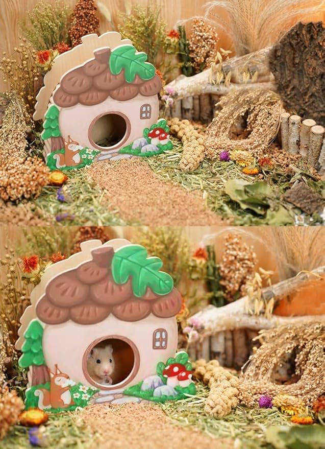 Natural Hamster Bedding - Flowers, Herbs, Sprays, Treat Cereal Grain for Cage Habitat Enclosure Decor - Hamster Chews for Dwarf Syrian Gerbils, Mice, Rat Forage - Pet Accessories