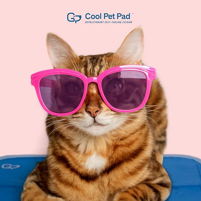 The Green Pet Shop Cool Pet Pad - Extra Small, Blue - Self-Cooling, Pressure Activated Mat for Dogs & Cats from 0-8 lbs - Non-Toxic Gel, No Water Needed