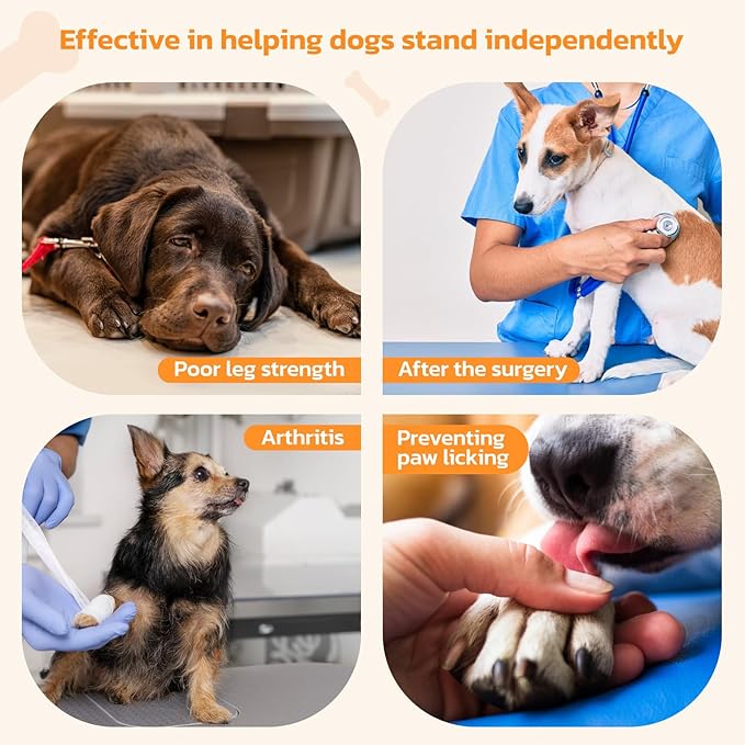 Non-Slip Paw Protector Pads for Senior Dogs, Anti-Slip Rubber Traction Stickers, Protect Dogs' Paws on Hardwood Floor, Blue, 48pcs, M (11-20lbs)