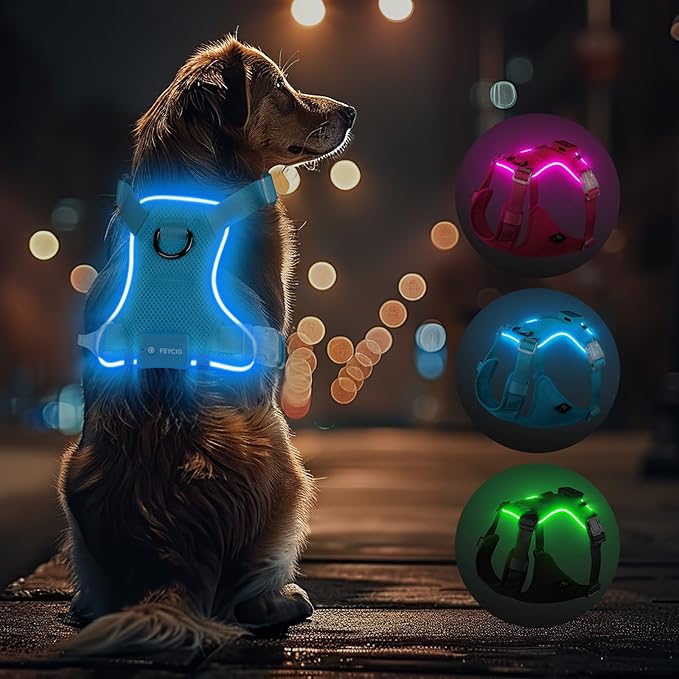 Light Up Dog Harness,Reflective Pet Harness Rechargeable,Led Dog Vest Harness for Night Walking,Adjustable Dog Safety Vest for Small Medium Large Dogs-No Pull,Blue,M
