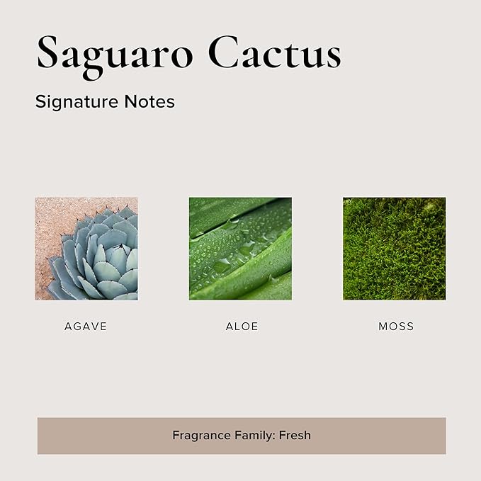 Saguaro Cactus Car Air Fresheners, 4 Pack