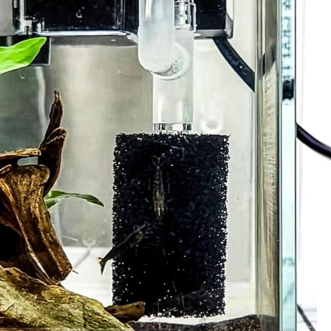 6X Pre-Filter Sponge for Aquarium Shrimp Fry Fish Tank Filter Pump Prefilter Sponge Replacement Foam Cover 2.4 X 1.4 Inch with 0.4" Hole Diameter