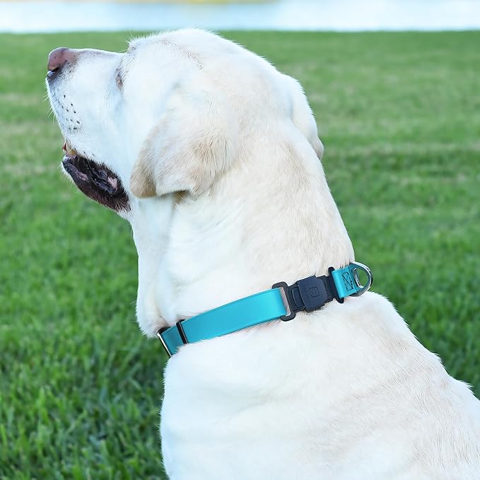 Dogline Biothane Waterproof Dog Collar with Herm Sprenger Stainless Steel Quick Release Buckle – Heavy Duty Tactical Durable Collar for Dogs – Comfortable and Safe Pet Collar, W 1" L 15-25" Sky Blue