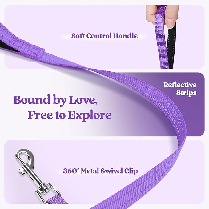 rabbitgoo Dog Harness Small Sized and Leash Set, Step in Soft Light Puppy Vest, Breathable Mesh Pet Harness, Reflective for Outdoor Safe Walking, Purple XXXS