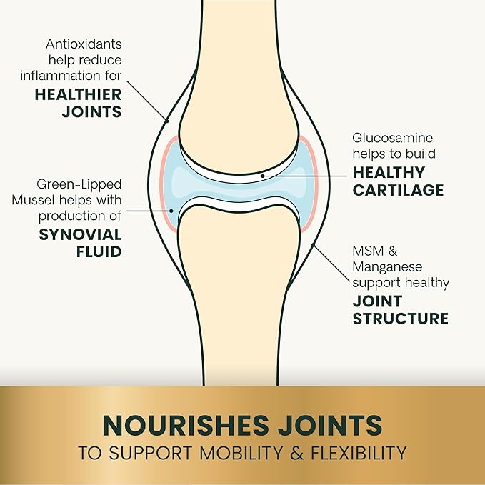 VetriScience Glycoflex 3 Clinically Proven Hip and Joint Support Supplement for Small Dogs - Maximum Strength Dog Supplement with Glucosamine, MSM, Green Lipped Mussel & DMG - 60 Chews,Chicken Flavor
