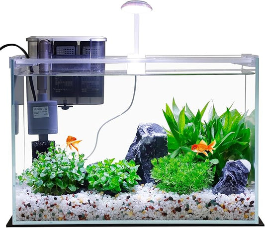 3 Gallon Glass Small Fish Tank, Betta Fish Tank Starter Kit with Filter, Lights,Lid.