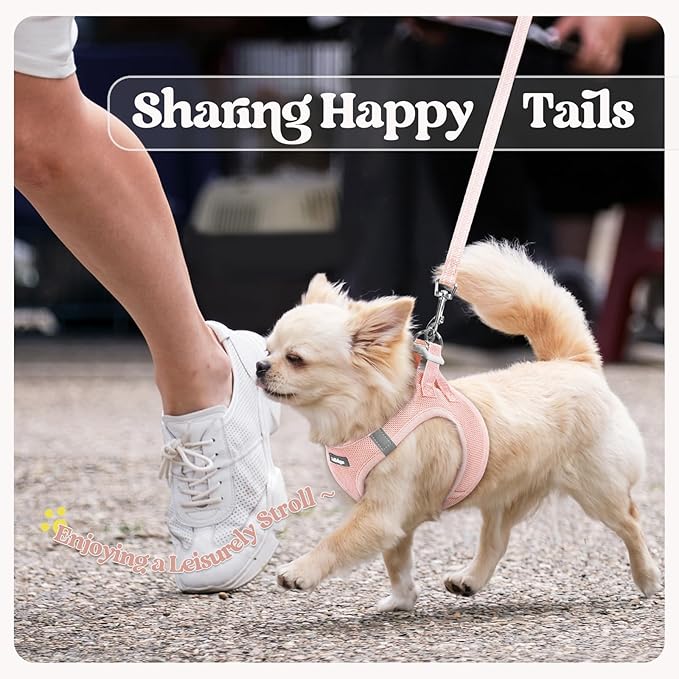 rabbitgoo Dog Harness Small Sized and Leash Set, Step in Soft Light Puppy Vest, Breathable Mesh Pet Harness, Reflective for Safe Outdoor Walking, Pink XXS