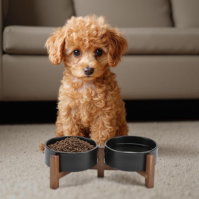 SPUNKYJUNKY Ceramic Dog Bowls with Acacia Wood Stand - Raised Dog Food and Water Bowl Set for Small Dogs (13.52 OZ, Black)