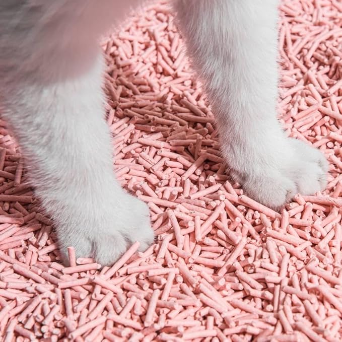 Tofu Cat Litter Natural Clumping Tofu Cat Litter, Fast Clumping and Easily Scoop-able 5.5lb/88oz 5 Scents - Peach, 4 Pack