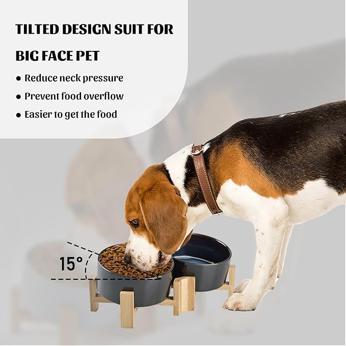 SPUNKYJUNKY 15° Slanted Ceramic Dog and Cat Bowl with Wooden Stand, Tilted Bulldog Food and Water Bowl No Slip Non-Spill for Cats Medium Dogs Big Face Pets 28.7 OZ (3.6 Cups, Starry Blue × 2)