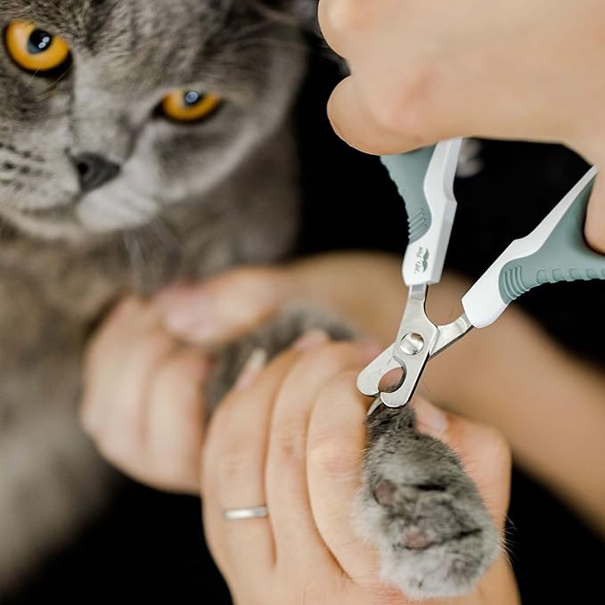 Mr. Pen- Cat Nail Clipper Cat Nail Trimmers Cat Claw Clippers Cat Claw Trimmers Kitten Nail Clipper Cat Clippers Nails Nail Clippers Cats Pet Nail Clippers Cats Cat Nail Cutter Olive ALNA001M301N