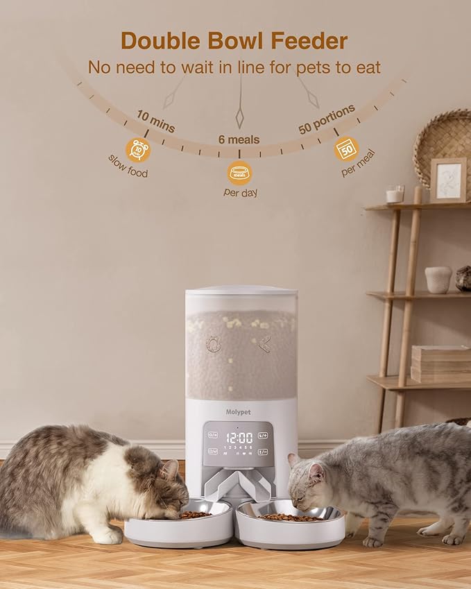Automatic Cat Feeder for 2 Cats - Cat Food Dispenser with Double Bowls 6L, 10S Voice Recorder Programmable Timed Cat Feeder up to 6 Meals per Day