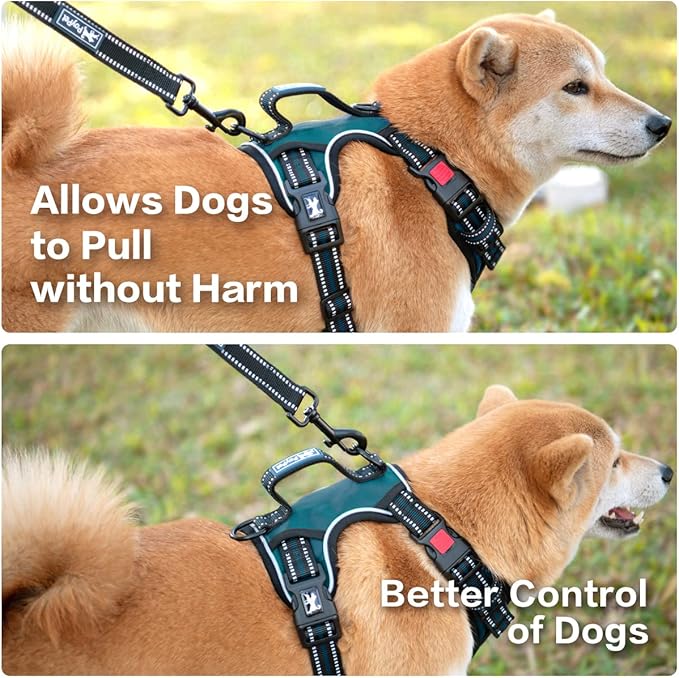 PoyPet No Pull Dog Harness, No Choke Front Clip Reflective Dog Vest with Soft Padded Vertical Handle, 3 Leash Attachments for Small Medium Large Dogs (Tumalo Teal,M)