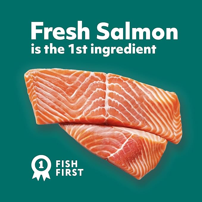 Optimeal Sensitive Stomach Dry Cat Food Recipe for Skin & Digestive Support, Premium Nutrition Made with Natural Ingredients for Adult Cats, Healthy Digestion (3.3 lbs, Salmon & Brown Rice)