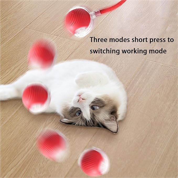 Interactive Cat Toy Ball for Indoor Cats - 3-Speed Smart Rolling Ball with Flashing Lights, USB Rechargeable Automatic Motion Kitten Toys for Bored Adult Cats & Playful Kittens