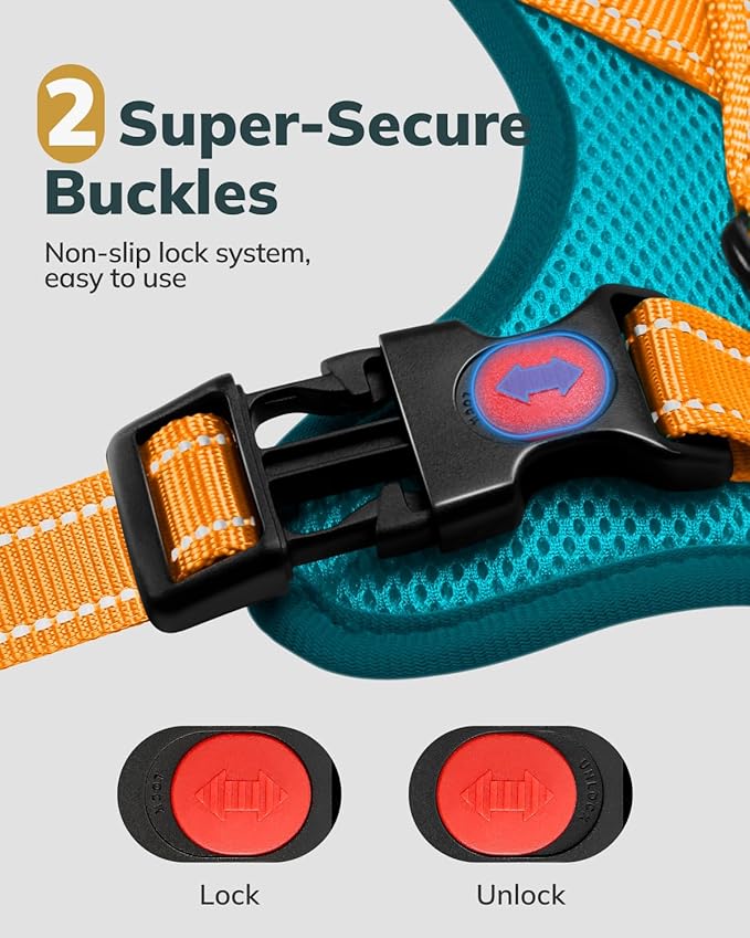 MIDOG No-Pull Dog Harness | Adjustable & Reflective Pet Harness Leash Set for Small Medium Large Dogs Walking, Training| No Choke, Front Clip, Soft Padded Vest with Easy Control Handle - Blue, M