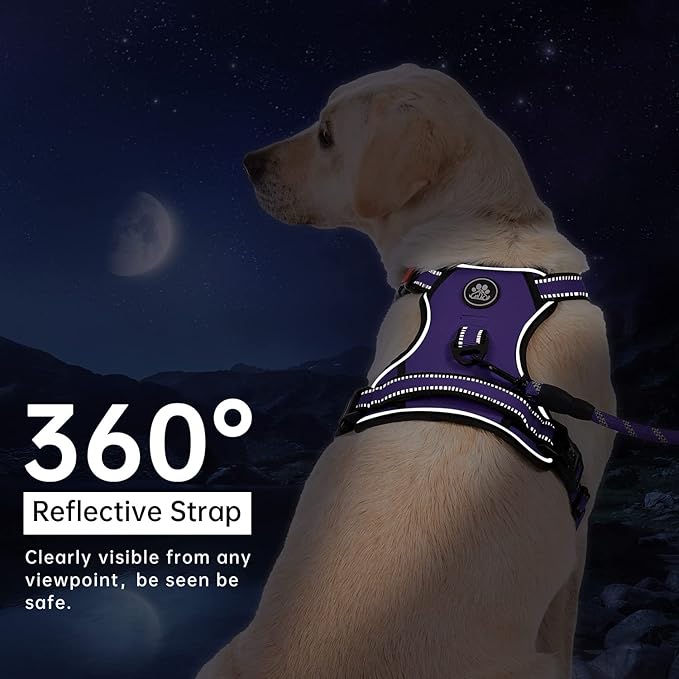 IVY&LANE No Pull Dog Harness for Small Dogs, Dog Vest Harness with Leash, Safety Belt and Storage Strap, Fully Adjustable Harness, 360° Reflective Strip, Soft Handle (Purple, XS)