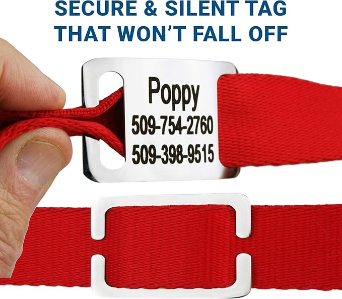 GoTags Personalized Dog Collar with Nameplate, Adjustable Dog Collar with Custom Engraved Slide On Pet ID Tag in Stainless Steel, Silent, No Noise Dog Tag for Large Medium and Small (Red, X-Small)
