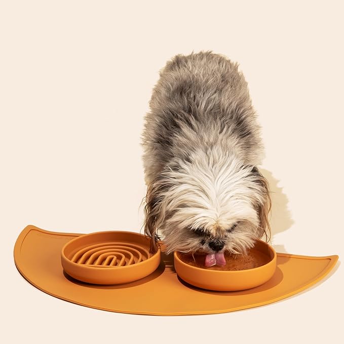 The Slowdown Bowl Silicone Slow Feeder for Cats & Dogs, Slow Eating Mealtime Solution with Modern Lick Mat Design, Reduces Gulping, Fits 1 Cup 6” Across x 1.25” Tall, Small-Honey