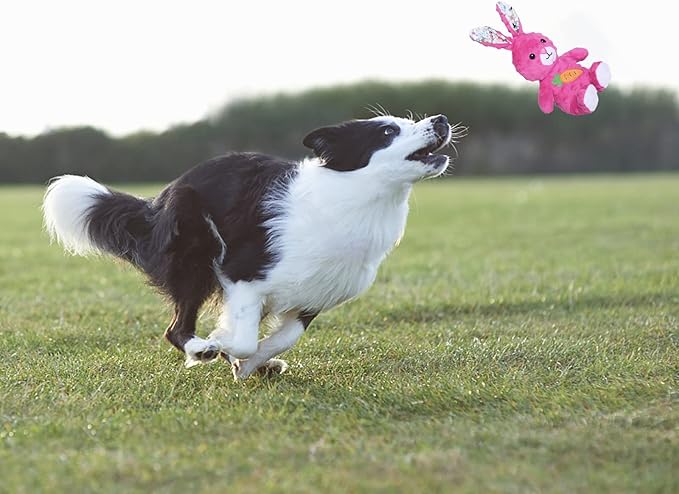 DODODOLA Dog Toys Stuffed Dog Toy with Crinkle Paper Cute Rabbit Plush Bunny Squeaky Dog Easter Toys Dog Chew Toys for Medium Large Breed