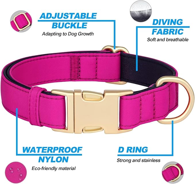 Didog Soft Padded Dog Collars for Small Dogs, Colorful and Durable Dog Collar with Quick Release Buckle, Light and Breathable for Daily Walking, Rose Purple, S