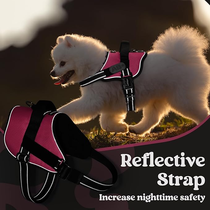 rabbitgoo Dog Harness for Large, Easy On Pet Vest with One Buckle, No Pull Adjustable Service Harness with D-Ring & Handle, Reflective for Safety Walking, Training, Pink, XL