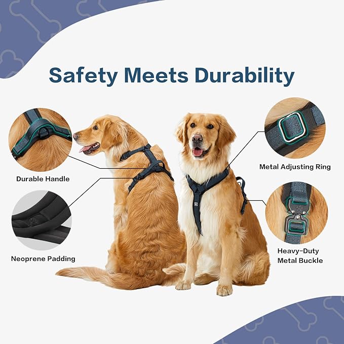 CLEPAWS Dog Harness for Medium Dogs, No Pull Dog Harness Easy Walk with Metal Hardware, Ergonomic Y-Shaped Design, Soft Padding, Padded Handle, Durable High-Tensile Nylon (Nightfall, M)
