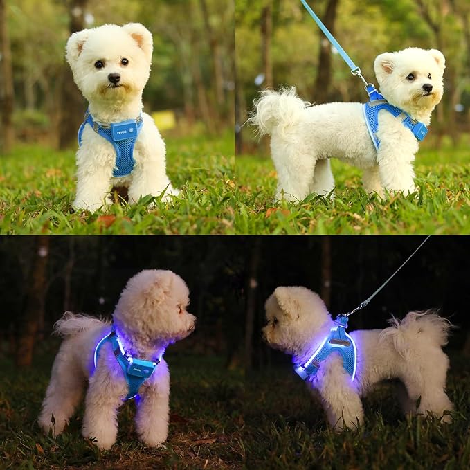 Light Up Dog Harness,Rechargeable LED Dog Harness for Small Medium Large Dogs,Reflective Lighted Safety Vest for Night Walking & Camping,Lightweight & Adjustable,Sky Blue,S